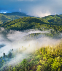 Aerial view at the forest in fog. Beautiful natural aerial landcape at the summer time. Forest and mountains.Top view from drone. Mountain-image