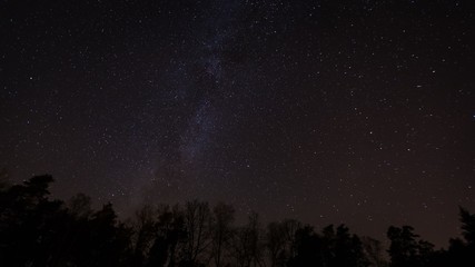 Beautiful night sky with Milky Way over forest.
