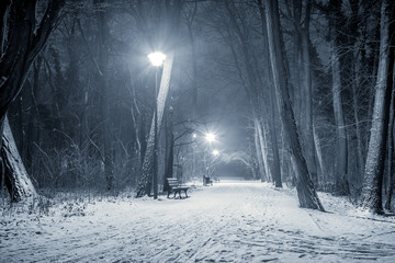 park zimą w nocy Wyspa Bolko w Opolu