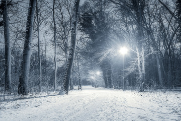 park zimą w nocy Wyspa Bolko w Opolu © Henryk Niestrój