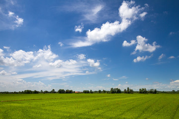 Piemonte e Lago Maggiore, Panorami