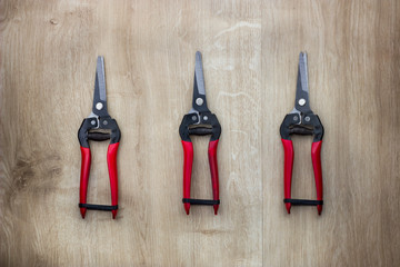 Garden pruner or scissors with red handles on wooden table