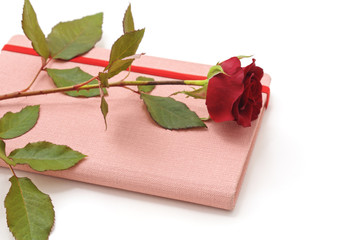 Red rose on a pink notepad.