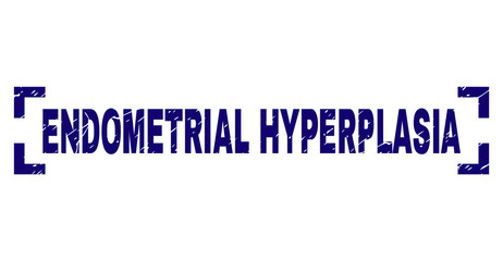 ENDOMETRIAL HYPERPLASIA text seal print with distress texture. Text caption is placed between corners. Blue vector rubber print of ENDOMETRIAL HYPERPLASIA with dirty texture.