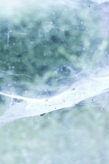 Old house abandonned in France