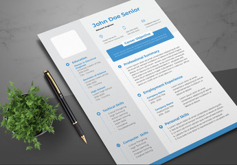 Resume Layout with Blue Accents and Gray Sidebar
