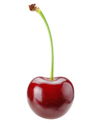 Cherry isolated on white with clipping path
