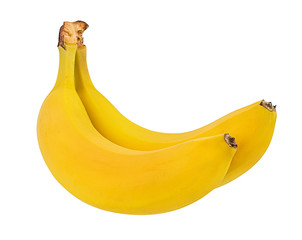 Fresh bananas isolated on white background with clipping path
