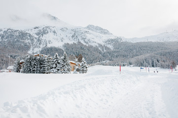 Surlej, Silvaplana, Silvaplanersee, Corvatsch, Winter, Wintersport, Langlauf, Oberengadin, Graubünden, Schweiz