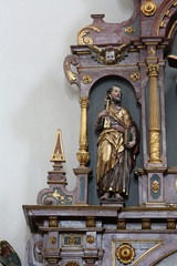 Fototapeta premium Saint Peter the Apostle, Basilica of St. Vitus in Ellwangen, Germany