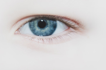 Baby blue beautiful, brooding eyes of a boy