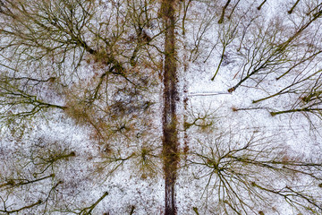Aerial view of the winter forest with path from above