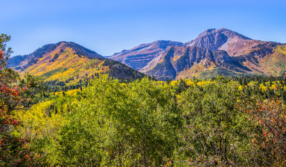 Rocky Mountains in Autumn