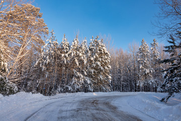 snow covered rural country road 