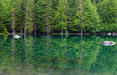 Small mountain forest lake