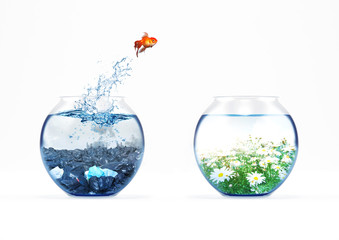 Improvement and moving concept with a goldfish jumping from a dirty aquarium to a clean one - obrazy, fototapety, plakaty