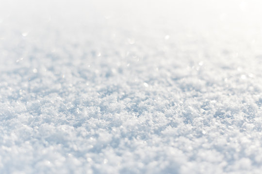 Fresh fluffy snow on the ground sparkle in the sun. Low angle closeup view with perspective and blurred background