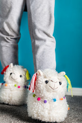 Young girl is wearing cute soft 3d llama slippers