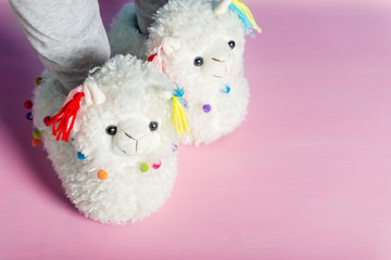 Young girl is wearing cute soft 3d llama slippers