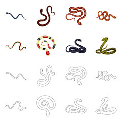 Vector illustration of mammal and danger logo. Set of mammal and medicine vector icon for stock.