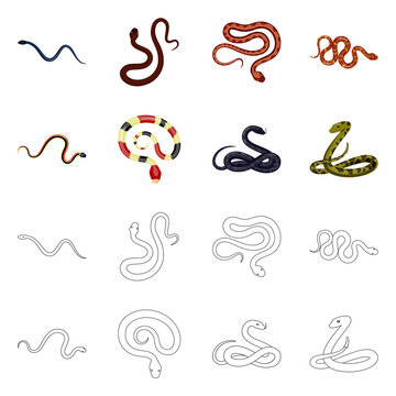 Vector illustration of mammal and danger logo. Set of mammal and medicine vector icon for stock.
