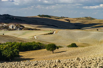 Autumn in Italy. Yellow plowed hills of Tuscany with interesting shadows and lines