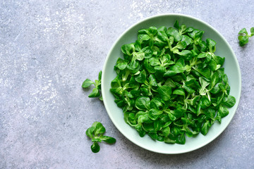 Fresh lamb lettuce salad.Top view with copy space.