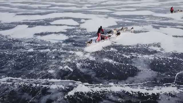 Drone shot following a dog team on lake Baikal.