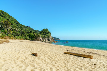 tropical beach in abel tasman national park, new zealand 12