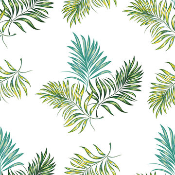 Seamless pattern of a tropical palm tree, jungle leaves. Vector floral pattern.