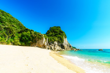 Fototapeta premium tropical beach in abel tasman national park, new zealand 5