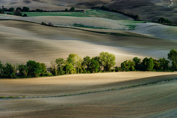 Autumn in Italy. Yellow plowed hills of Tuscany with interesting shadows and lines