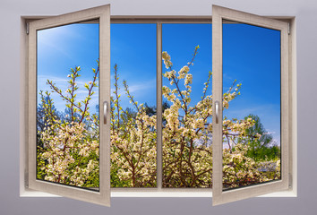 A look through the open window at the spring landscape with blooming fruit and berry trees