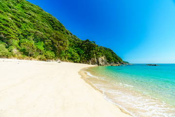 tropical beach in abel tasman national park, new zealand 17