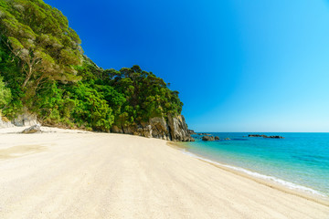 tropical beach in abel tasman national park, new zealand 23