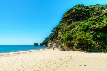 Fototapeta na wymiar tropical beach in abel tasman national park, new zealand 26