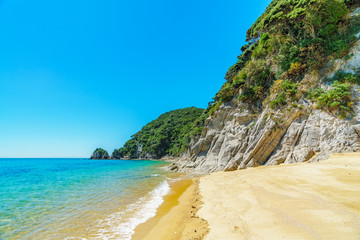 tropical beach in abel tasman national park, new zealand 34