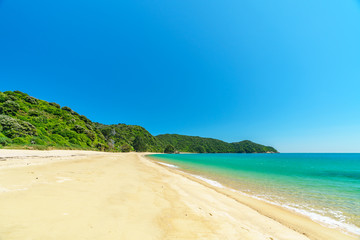 tropical beach in abel tasman national park, new zealand 43