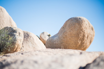 Joshua Tree National Park