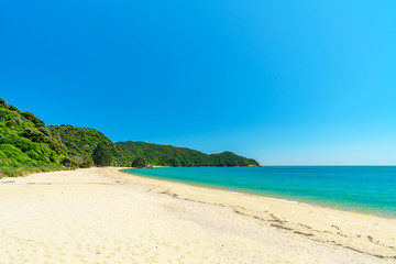 tropical beach in abel tasman national park, new zealand 47