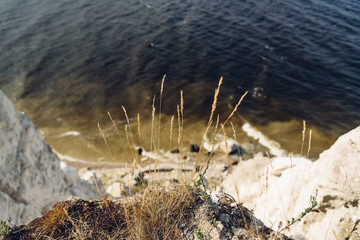 Grass on the edge of cliff