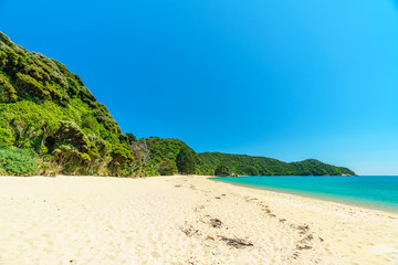 tropical beach in abel tasman national park, new zealand 57