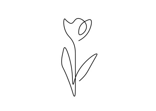 11,023 BEST One Line Drawing Flower IMAGES, STOCK PHOTOS & VECTORS ...