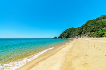 Obraz premium tropical beach in abel tasman national park, new zealand 64