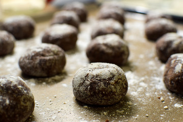 Small brown chocolate gingerbread cookies lay on a baking sheet sprinkled with powdered sugar