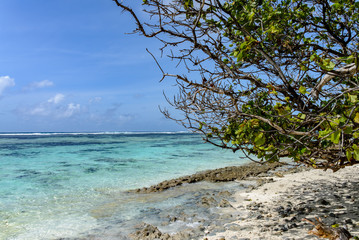 A tropical beach with clear blue-green water 