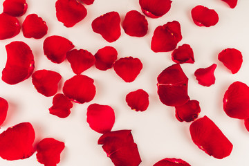 Etiqueta en forma de corazón y aislados con pétalos rojos en un fondo blanco