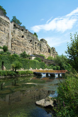 Fototapeta na wymiar Sumpflandschaft in Luxemburg