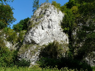DOLINA MNIKOWSKA JURA KRAKOWSKO-CZĘSTOCHOWSKA PODKRAKOWSKIE DOLINKI JURAJSKIE  POLSKA