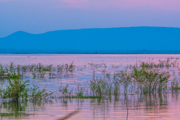 Evening by the lake.5